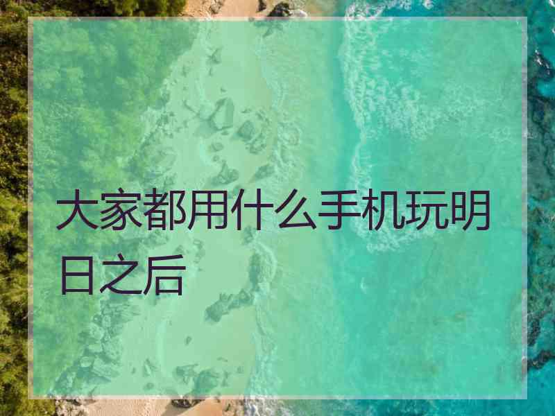 大家都用什么手机玩明日之后