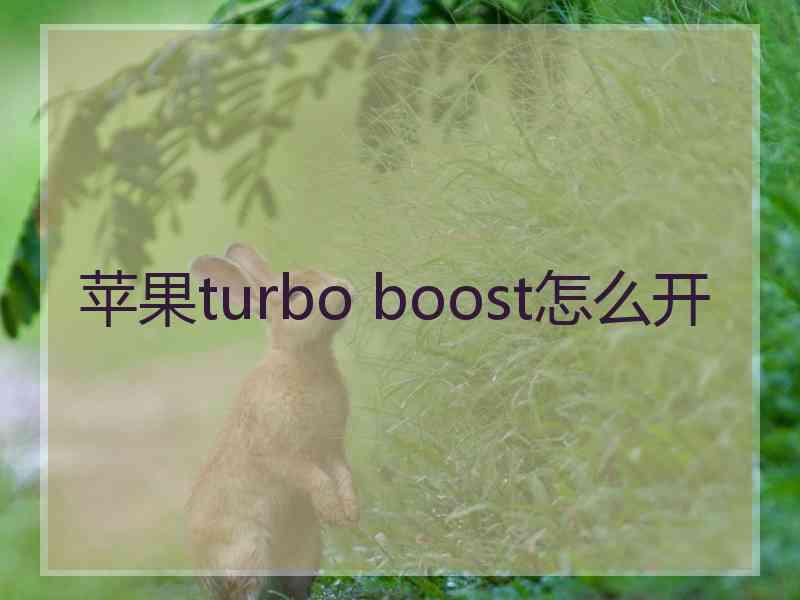 苹果turbo boost怎么开