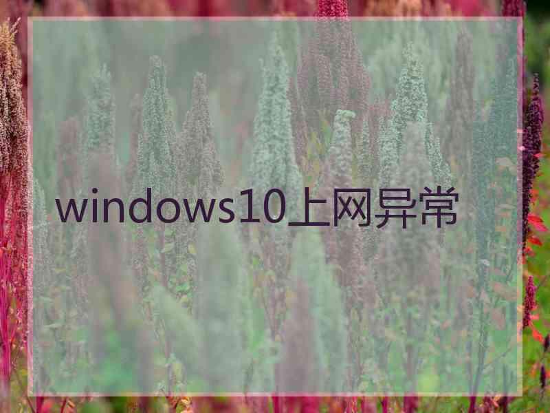 windows10上网异常