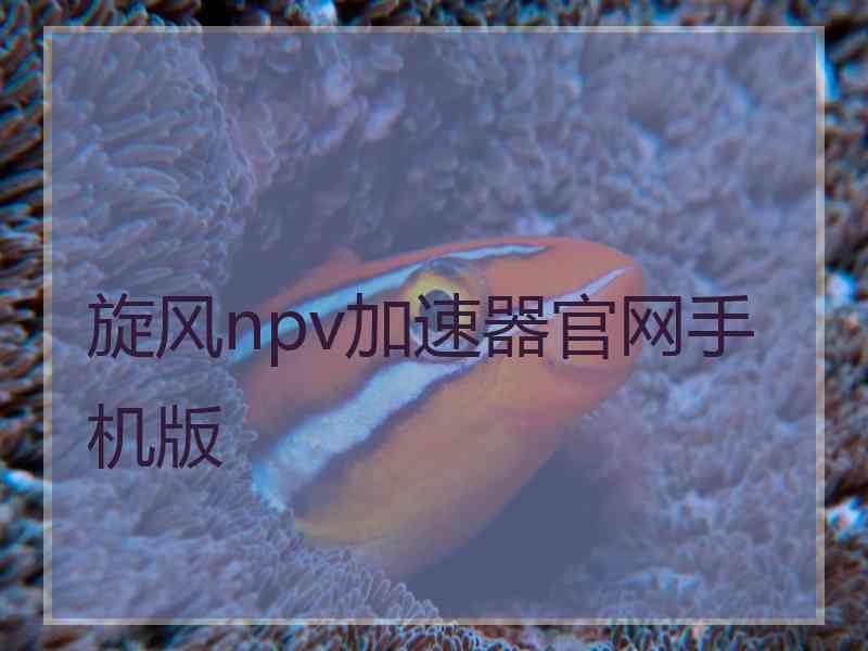 旋风npv加速器官网手机版