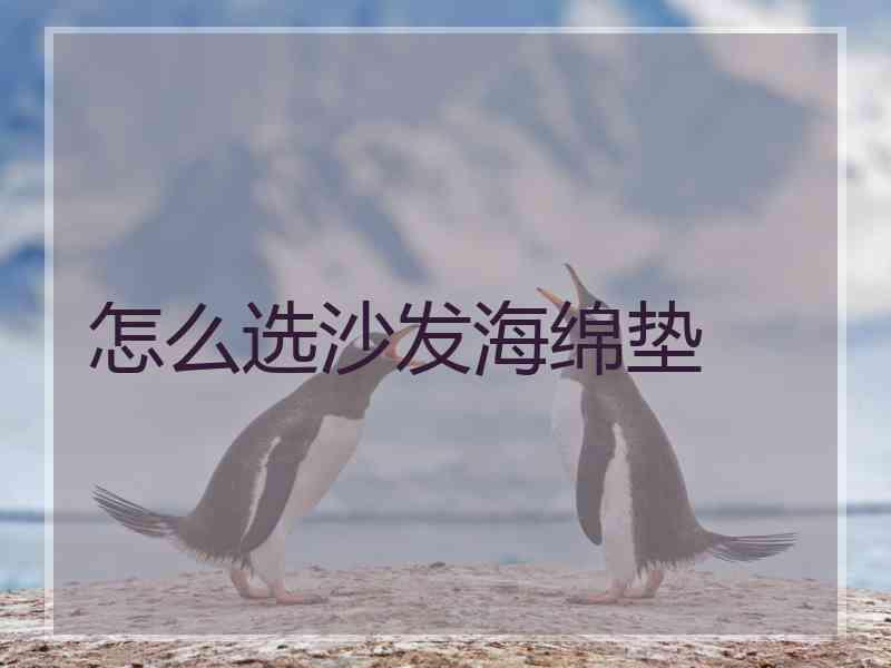 怎么选沙发海绵垫