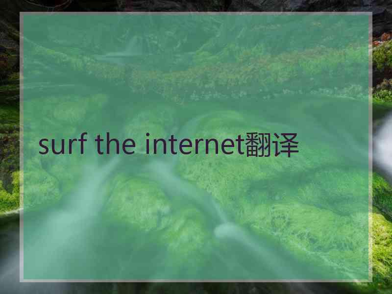 surf the internet翻译