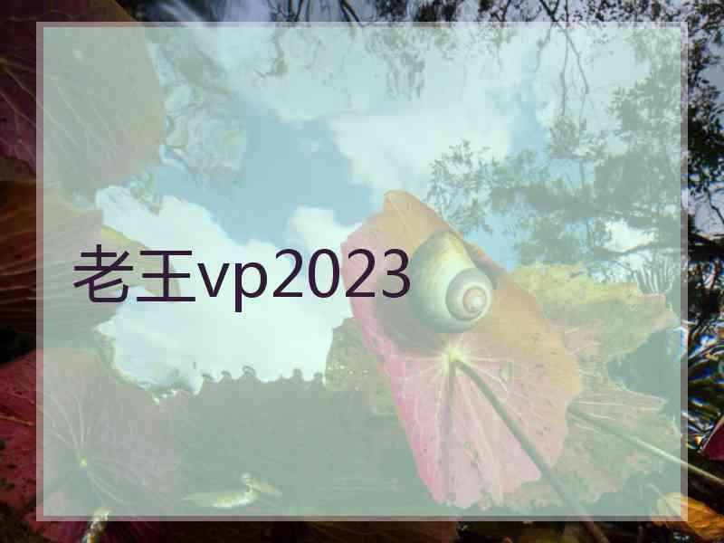 老王vp2023