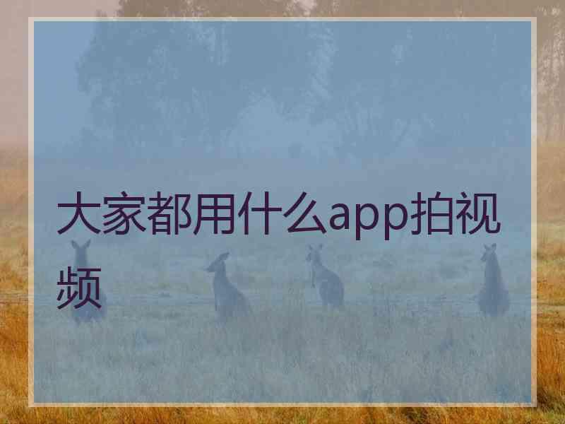 大家都用什么app拍视频