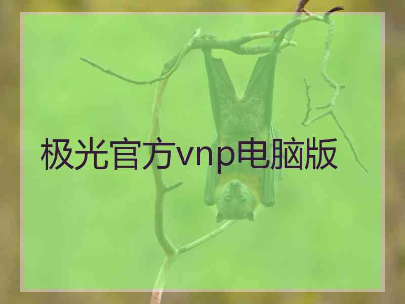 极光官方vnp电脑版