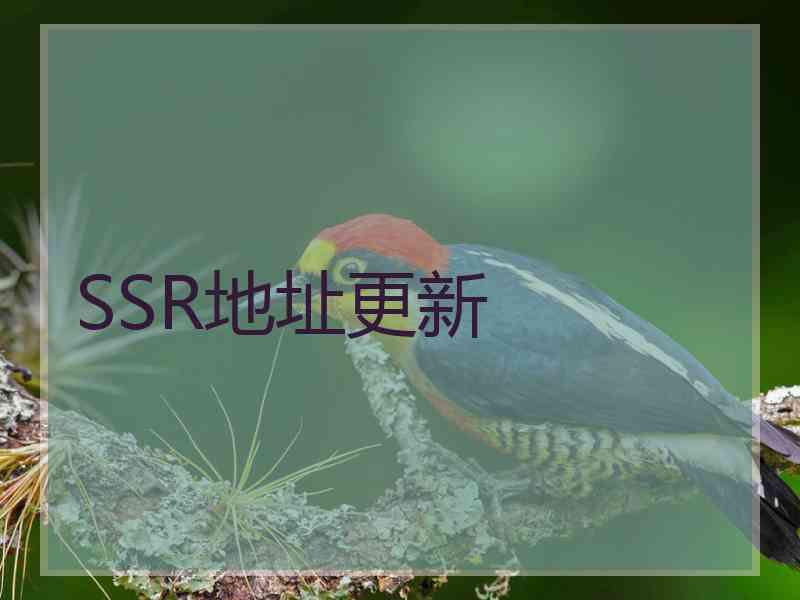 SSR地址更新