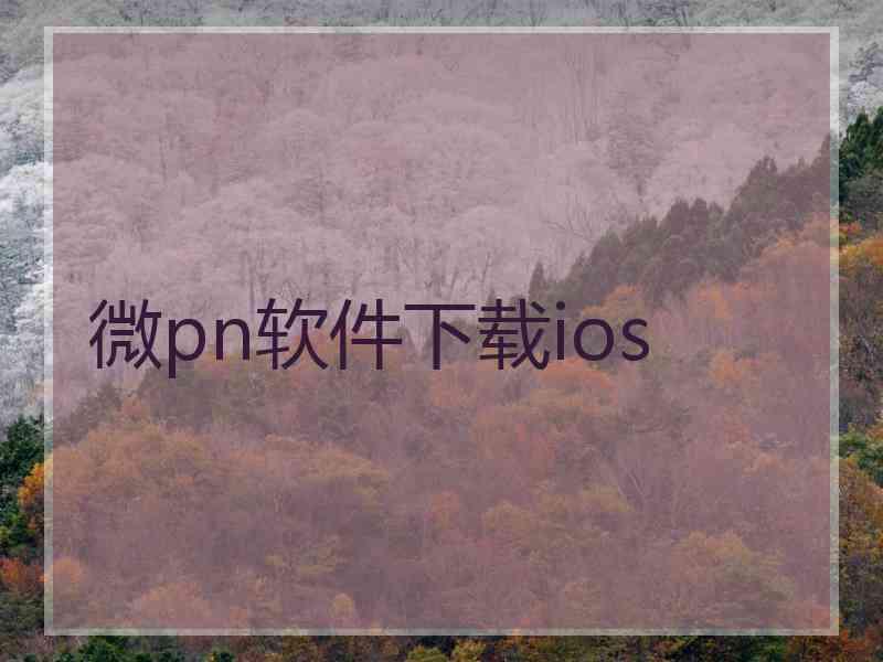 微pn软件下载ios