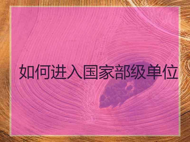 如何进入国家部级单位