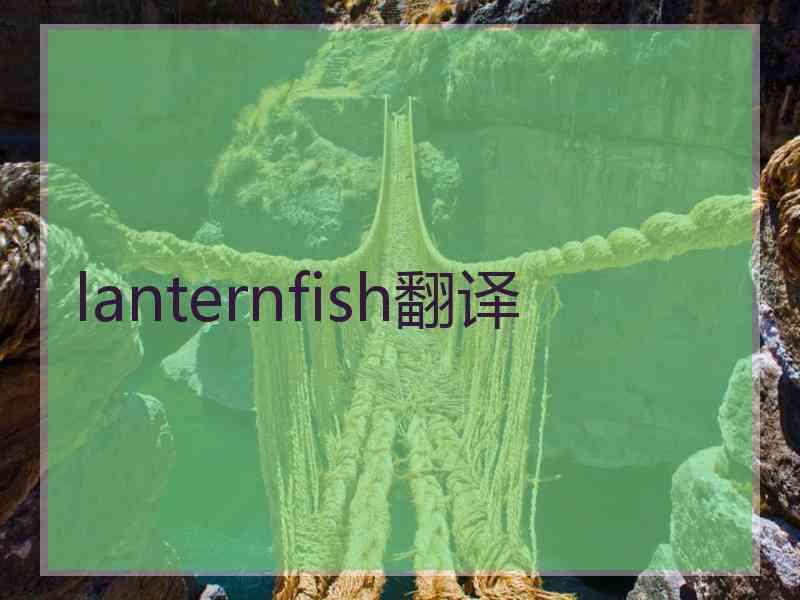 lanternfish翻译