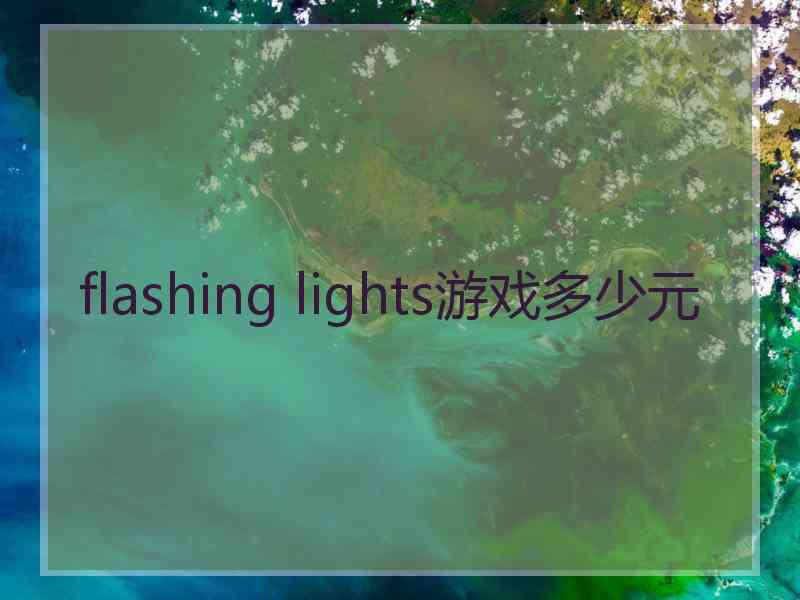flashing lights游戏多少元