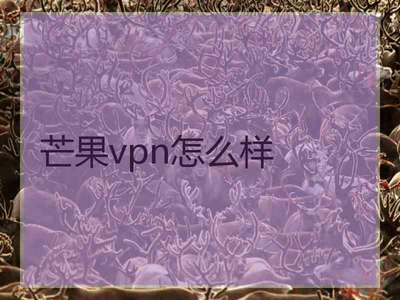 芒果vpn怎么样