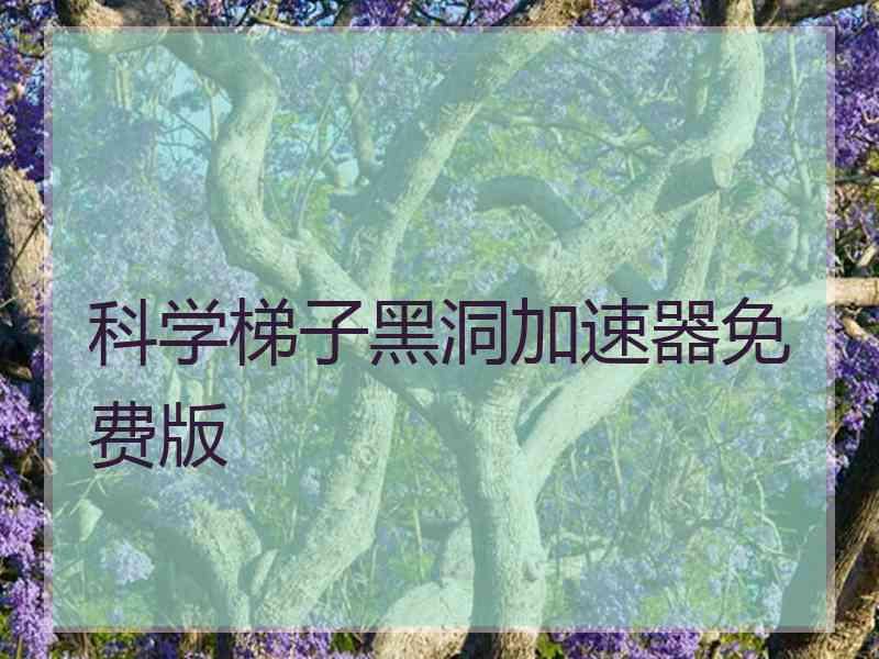 科学梯子黑洞加速器免费版