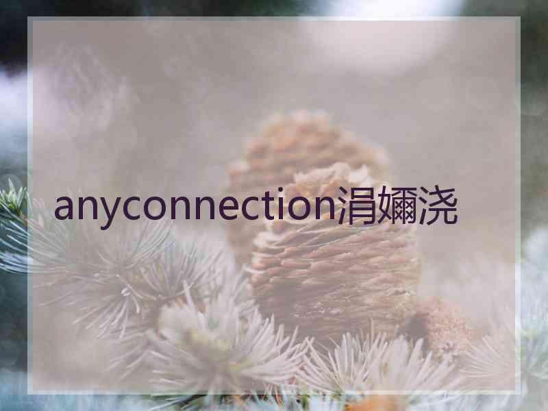 anyconnection涓嬭浇