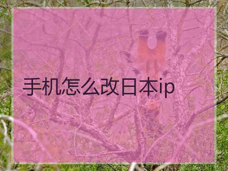 手机怎么改日本ip