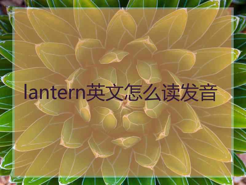 lantern英文怎么读发音