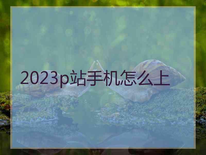 2023p站手机怎么上