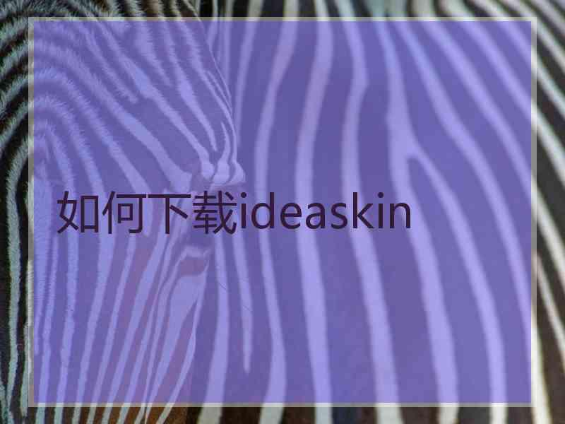 如何下载ideaskin