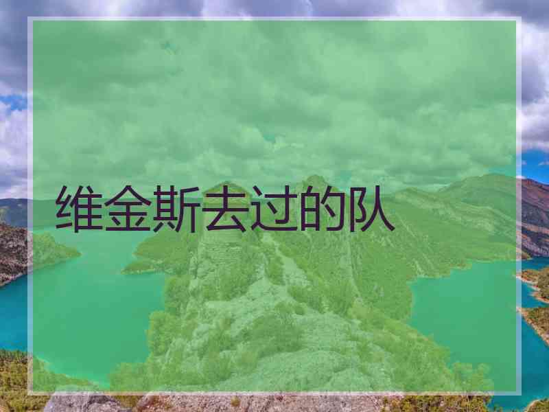 维金斯去过的队