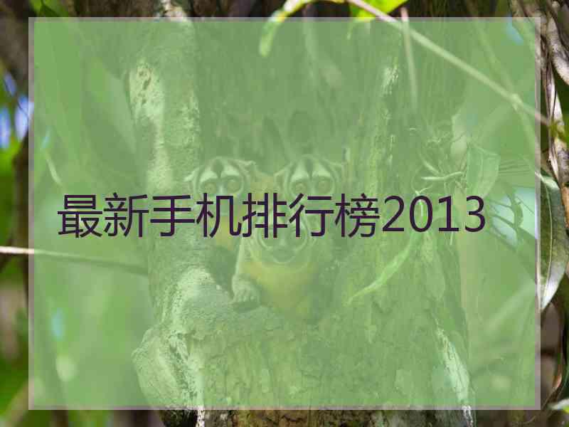最新手机排行榜2013