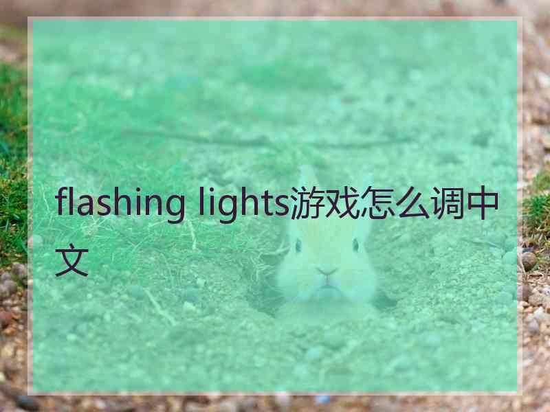flashing lights游戏怎么调中文