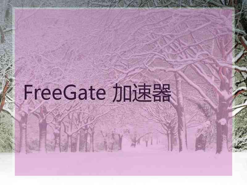 FreeGate 加速器