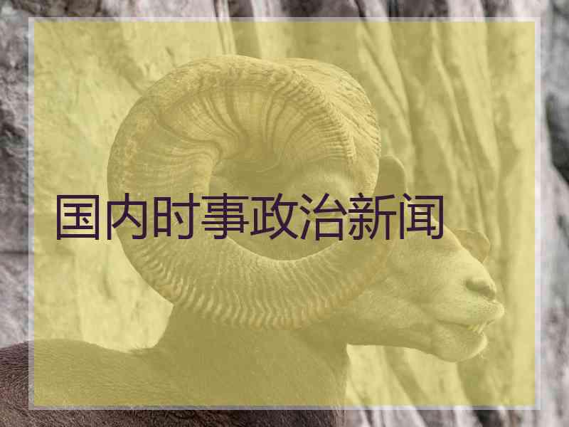 国内时事政治新闻