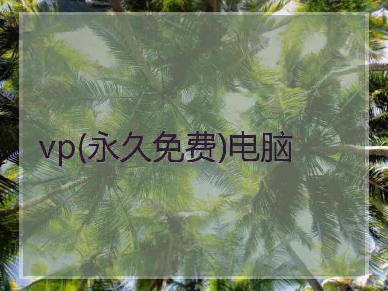 vp(永久免费)电脑