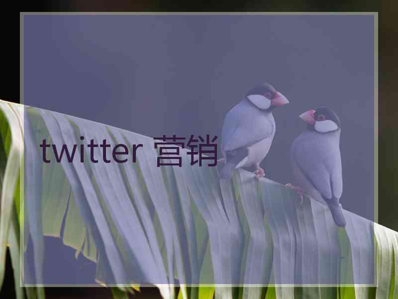 twitter 营销