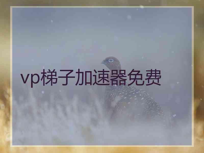 vp梯子加速器免费