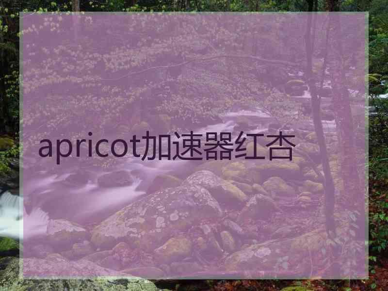 apricot加速器红杏