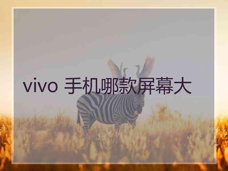 vivo 手机哪款屏幕大