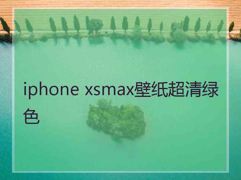 iphone xsmax壁纸超清绿色