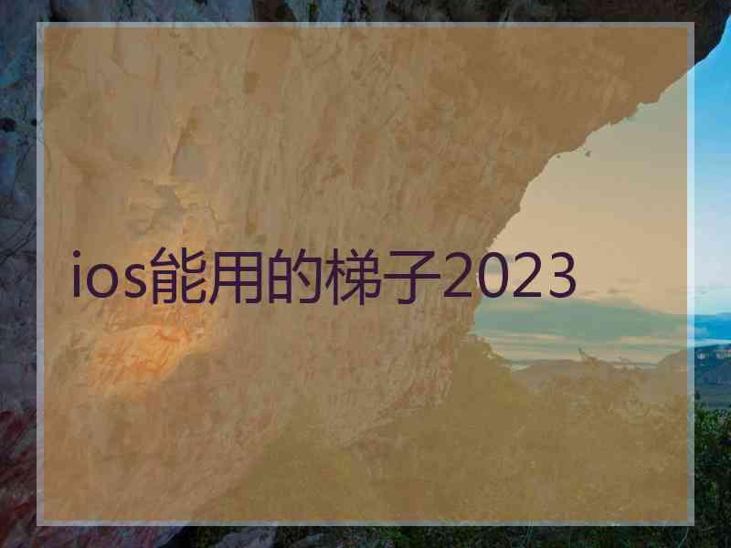 ios能用的梯子2023