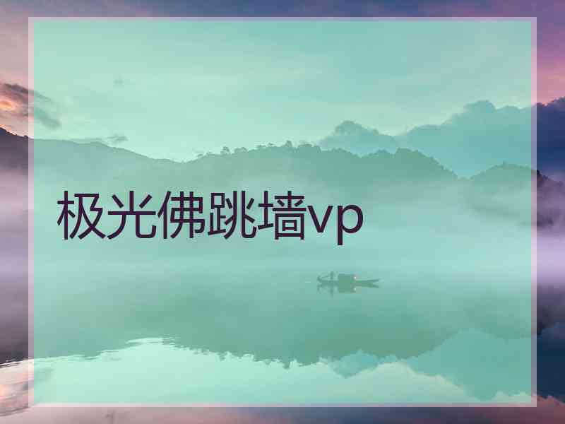 极光佛跳墙vp