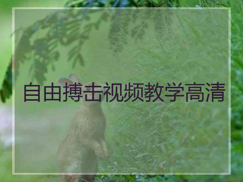 自由搏击视频教学高清