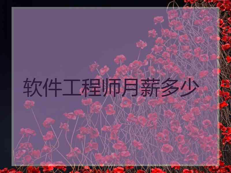 软件工程师月薪多少