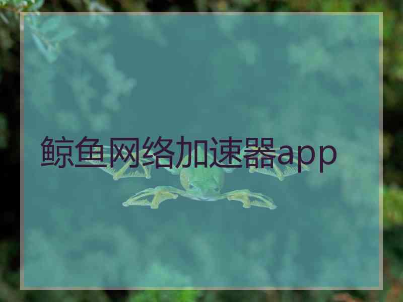 鲸鱼网络加速器app