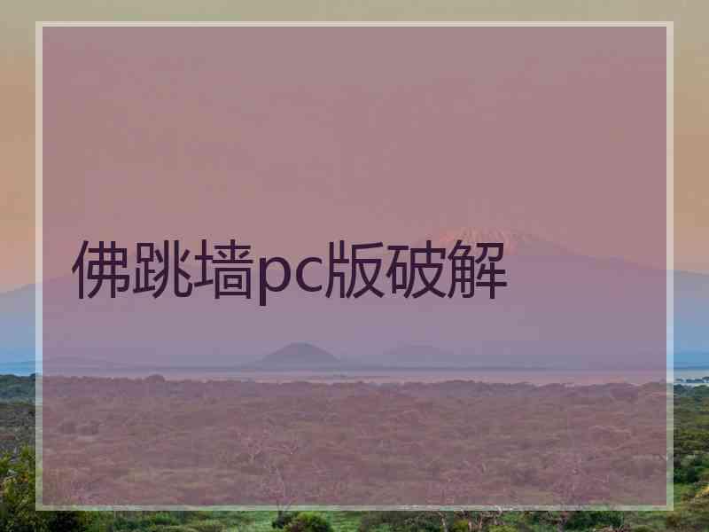 佛跳墙pc版破解