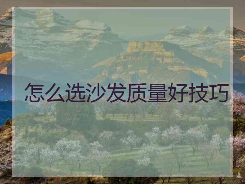 怎么选沙发质量好技巧