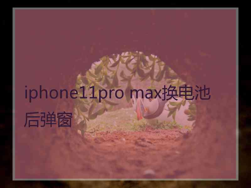 iphone11pro max换电池后弹窗