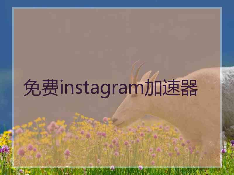 免费instagram加速器