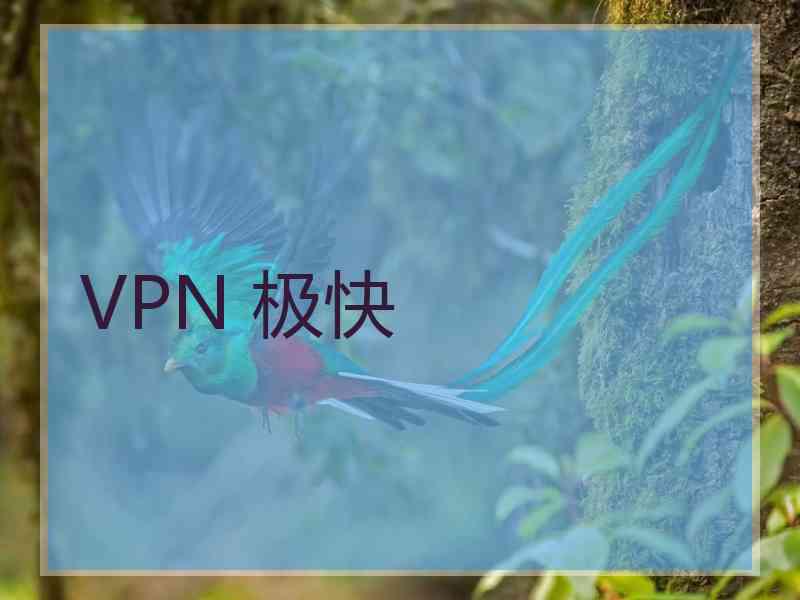 VPN 极快