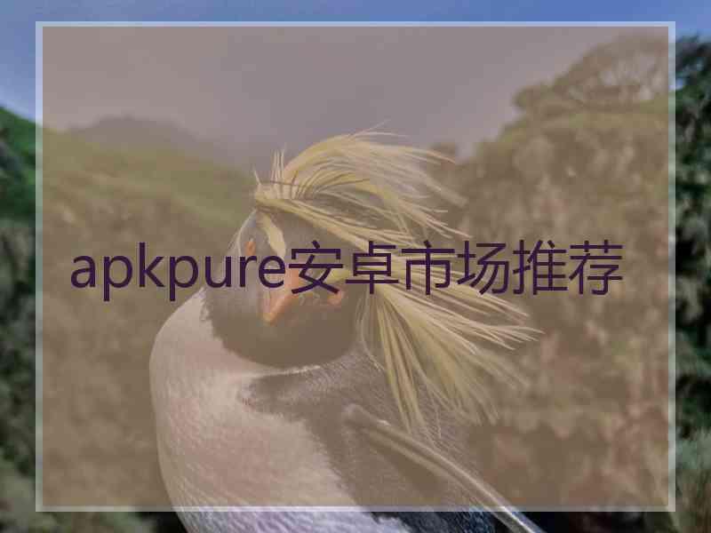 apkpure安卓市场推荐