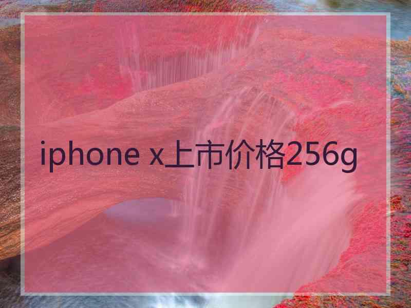 iphone x上市价格256g