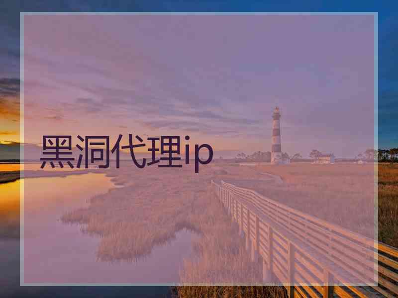 黑洞代理ip