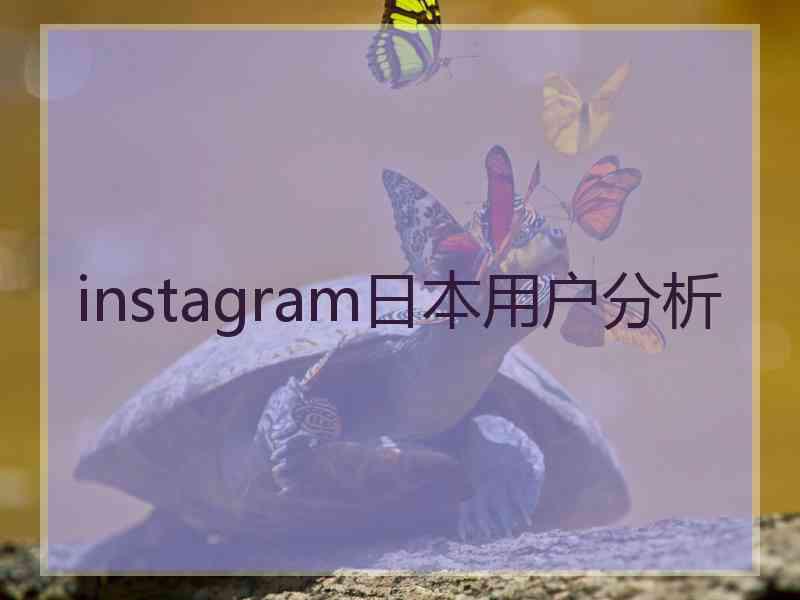 instagram日本用户分析