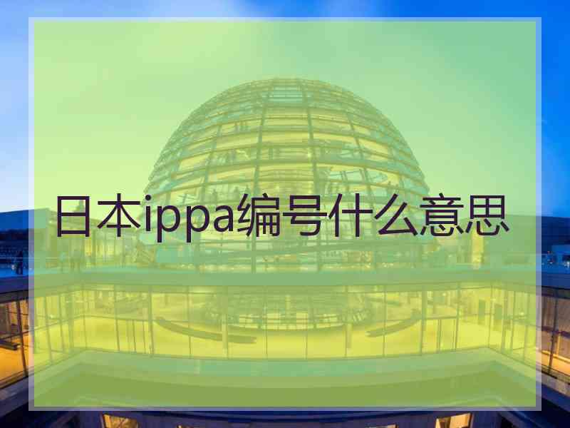 日本ippa编号什么意思